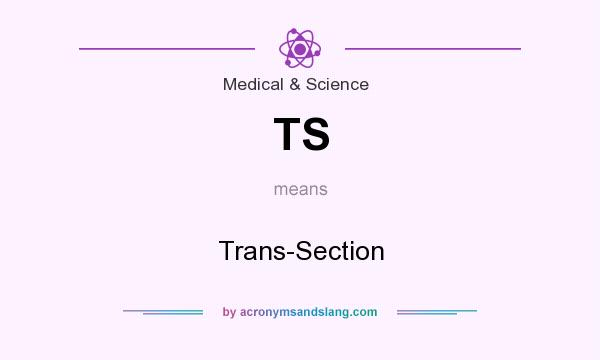 What does TS mean? It stands for Trans-Section