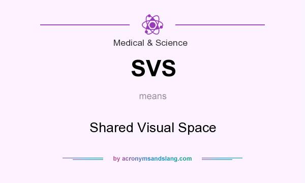 What does SVS mean? It stands for Shared Visual Space