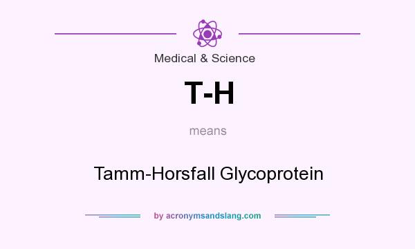 What does T-H mean? It stands for Tamm-Horsfall Glycoprotein