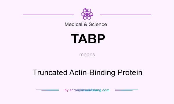 What does TABP mean? It stands for Truncated Actin-Binding Protein