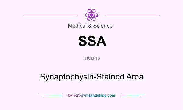 What does SSA mean? It stands for Synaptophysin-Stained Area