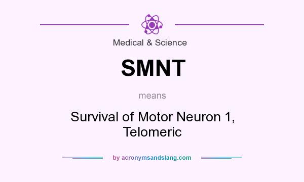 What does SMNT mean? It stands for Survival of Motor Neuron 1, Telomeric