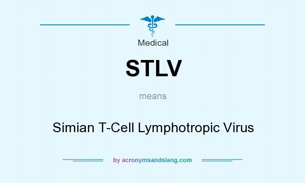 What does STLV mean? It stands for Simian T-Cell Lymphotropic Virus
