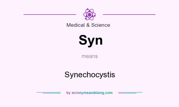 What does Syn mean? It stands for Synechocystis
