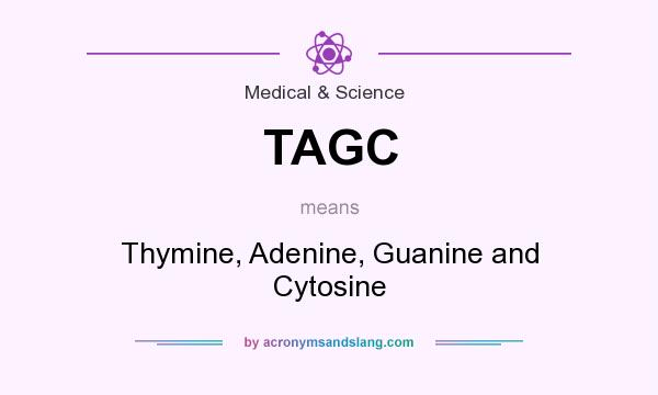 What does TAGC mean? It stands for Thymine, Adenine, Guanine and Cytosine