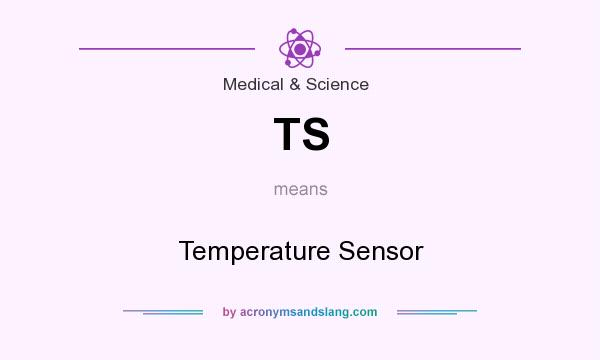 What does TS mean? It stands for Temperature Sensor
