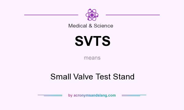 What does SVTS mean? It stands for Small Valve Test Stand