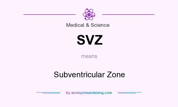 What does SVZ mean? It stands for Subventricular Zone