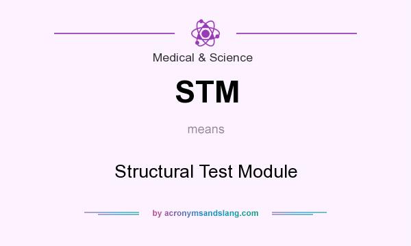 What does STM mean? It stands for Structural Test Module