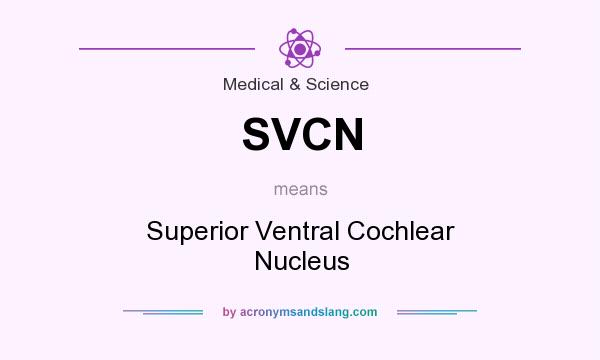 What does SVCN mean? It stands for Superior Ventral Cochlear Nucleus