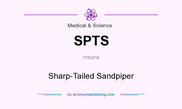 What does SPTS mean? It stands for Sharp-Tailed Sandpiper