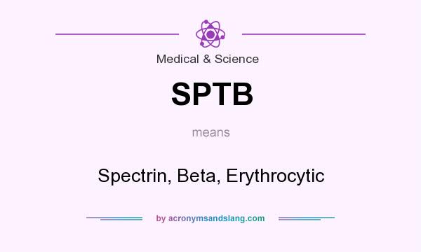 What does SPTB mean? It stands for Spectrin, Beta, Erythrocytic