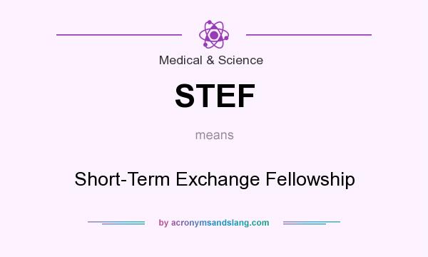What does STEF mean? It stands for Short-Term Exchange Fellowship