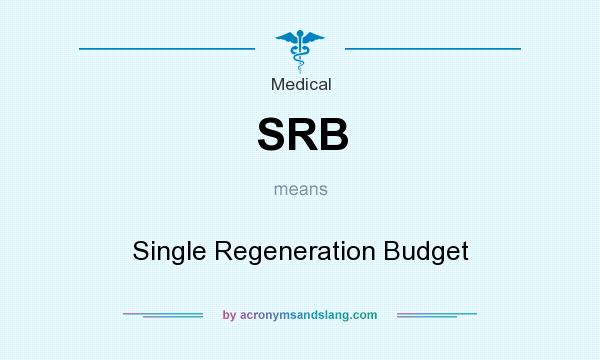 What does SRB mean? It stands for Single Regeneration Budget