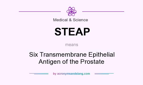 What does STEAP mean? It stands for Six Transmembrane Epithelial Antigen of the Prostate