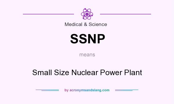 What does SSNP mean? It stands for Small Size Nuclear Power Plant