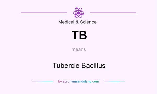 What does TB mean? It stands for Tubercle Bacillus