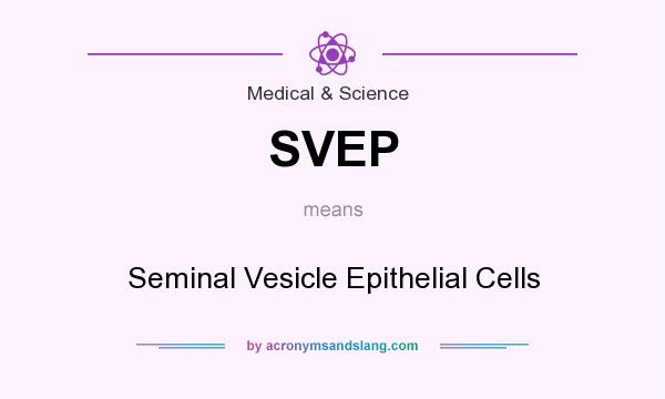 What does SVEP mean? It stands for Seminal Vesicle Epithelial Cells