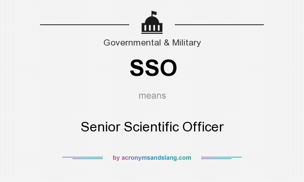 What does SSO mean? It stands for Senior Scientific Officer