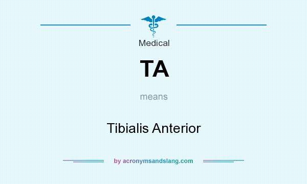 What does TA mean? It stands for Tibialis Anterior
