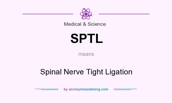 What does SPTL mean? It stands for Spinal Nerve Tight Ligation