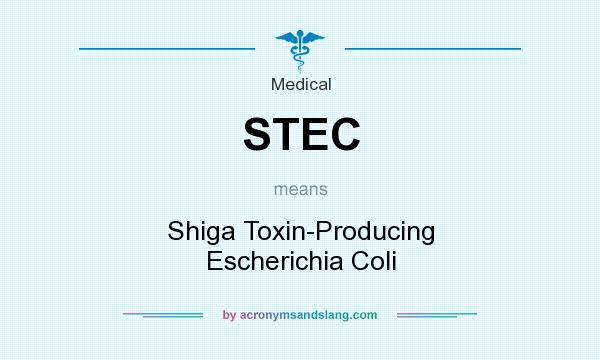 What does STEC mean? It stands for Shiga Toxin-Producing Escherichia Coli