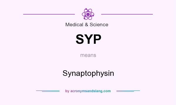 What does SYP mean? It stands for Synaptophysin
