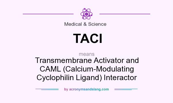 What does TACI mean? It stands for Transmembrane Activator and CAML (Calcium-Modulating Cyclophilin Ligand) Interactor
