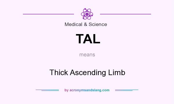 What does TAL mean? It stands for Thick Ascending Limb
