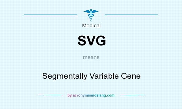 What does SVG mean? It stands for Segmentally Variable Gene