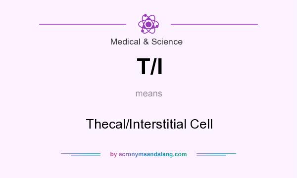 What does T/I mean? It stands for Thecal/Interstitial Cell