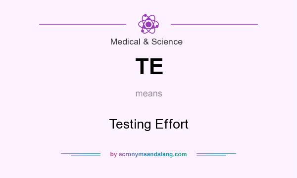 What does TE mean? It stands for Testing Effort