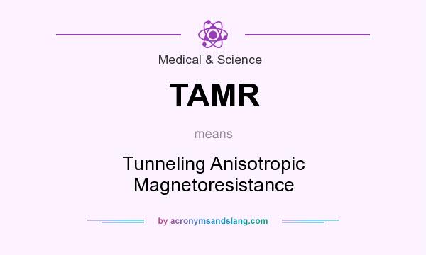 What does TAMR mean? It stands for Tunneling Anisotropic Magnetoresistance