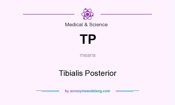 What does TP mean? It stands for Tibialis Posterior