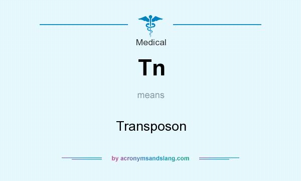 What does Tn mean? It stands for Transposon