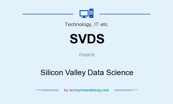 What does SVDS mean? It stands for Silicon Valley Data Science