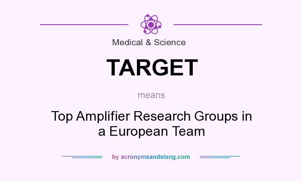 What does TARGET mean? It stands for Top Amplifier Research Groups in a European Team