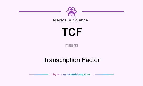 What does TCF mean? It stands for Transcription Factor