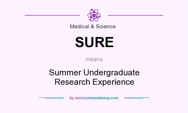 What does SURE mean? It stands for Summer Undergraduate Research Experience