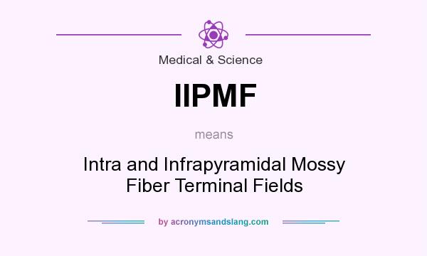 What does IIPMF mean? It stands for Intra and Infrapyramidal Mossy Fiber Terminal Fields