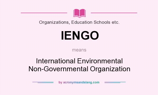 What does IENGO mean? It stands for International Environmental Non-Governmental Organization