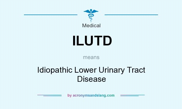 What does ILUTD mean? It stands for Idiopathic Lower Urinary Tract Disease