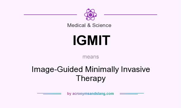 What does IGMIT mean? It stands for Image-Guided Minimally Invasive Therapy