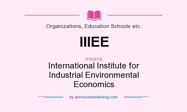 What does IIIEE mean? It stands for International Institute for Industrial Environmental Economics