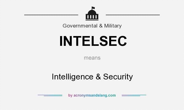 What does INTELSEC mean? It stands for Intelligence & Security