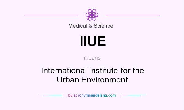 What does IIUE mean? It stands for International Institute for the Urban Environment