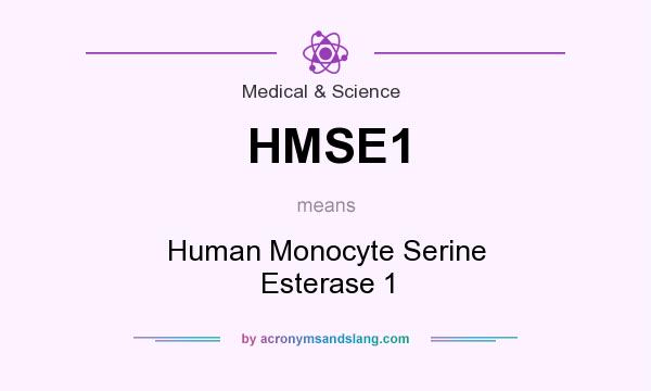 What does HMSE1 mean? It stands for Human Monocyte Serine Esterase 1