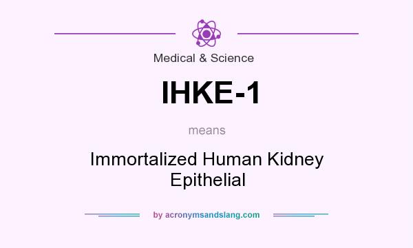 What does IHKE-1 mean? It stands for Immortalized Human Kidney Epithelial