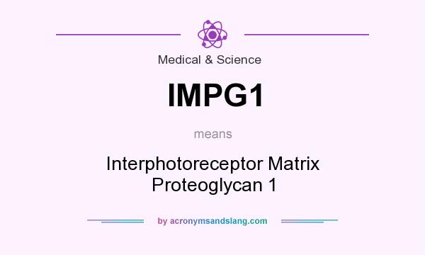 What does IMPG1 mean? It stands for Interphotoreceptor Matrix Proteoglycan 1