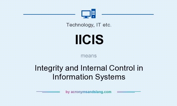 What does IICIS mean? It stands for Integrity and Internal Control in Information Systems